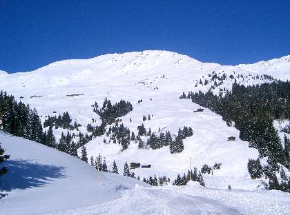 Geisler 034 
